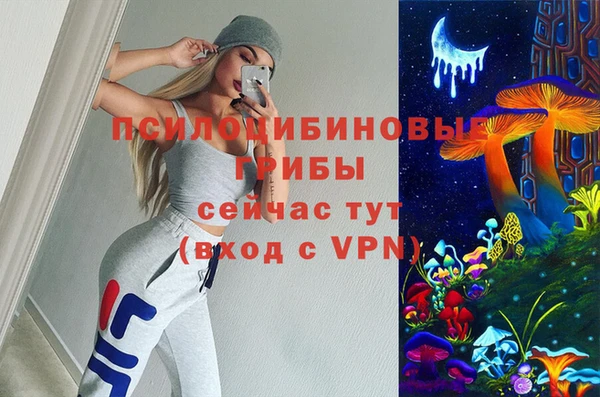 mdpv Верхний Тагил